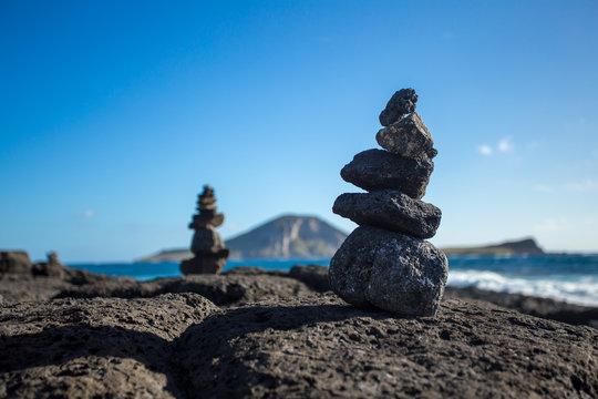 Balancing Nature