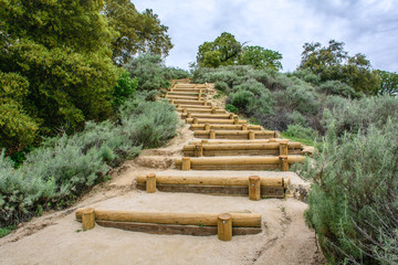 Fototapeta na wymiar wood steps path at mountain with green plants