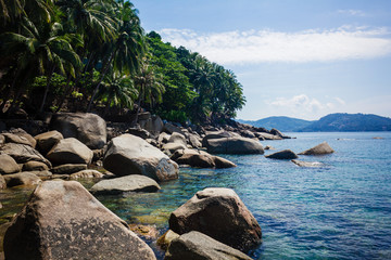 The rocks lying on the coast. The huge stones and palms on the seashore. Horizontal outdoors shot.