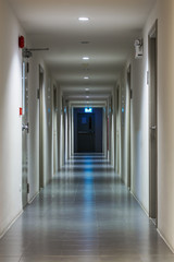 The empty corridor with doors. View to the empty hall with the many doors. Vertical indoors shot.
