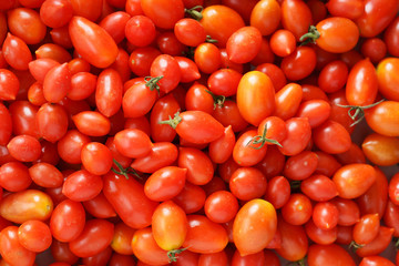 Fresh tomatoes.
