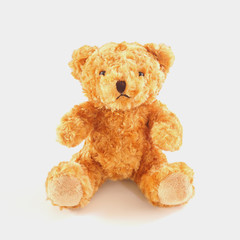 Golden brown teddy bear on white background