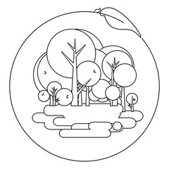 Nature of the environment