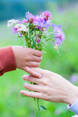 Baby gives mom a bouquet of wildflowers. Hands child and mother with flowers on bright background
