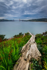 Fototapeta na wymiar Old broken wood and Golden Gate Bridge. California, United States.