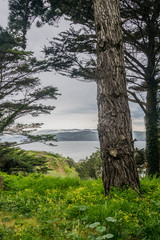 Obraz premium Golden Gate Park with Ocean View. California, United States.