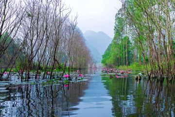 Van Long Natural Reserve in Ninh Binh, Vietnam
