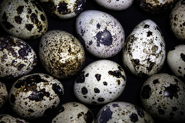 background of the many quail eggs