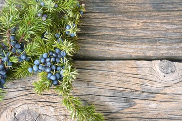 Juniper berries on vintage wooden background