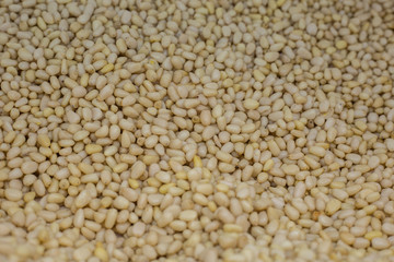 pine nuts peeled