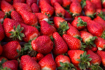 strawberries on the counter for sale in spring and summer