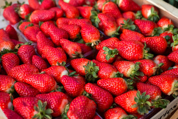strawberries on the counter for sale in spring and summer