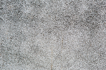 old Wall texture