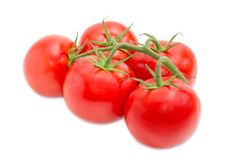Branch of the ripe red tomatoes closeup