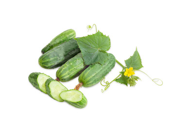 Several cucumbers and stem with leaves and flower
