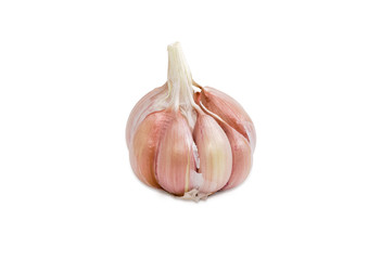Garlic bulb on a light background