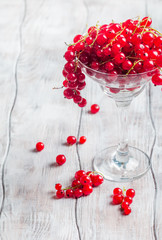 red currants in a glass 