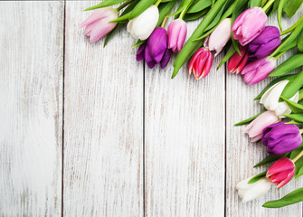 Spring tulip flowers