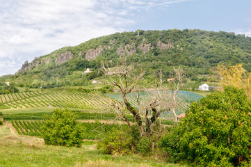 Stone cross on the basalt cone of Badacsony above small vineyards - Hungary