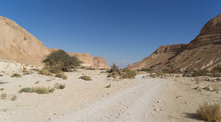 Fototapeta na wymiar Arava desert travel in Israel