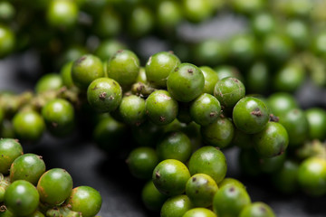 Fresh green pepper on dark background.