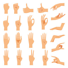 Female hand Set of hands in different gestures emotions 
palm,hand back, view and signs One to ten on white background isolated vector illustration