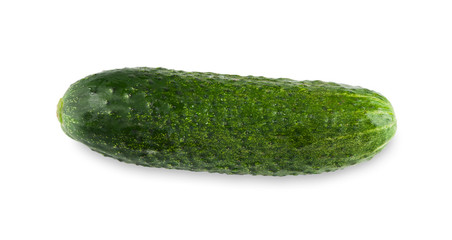 One ripe fresh green cucumber isolated on white background
