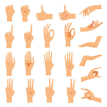 Female hand Set of hands in different gestures emotions 
palm,hand back, view and signs One to ten on white background isolated vector illustration