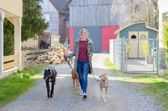Happy young woman walking her three dogs