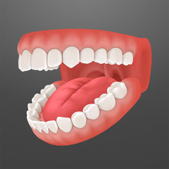 3d rendering of human teeth, open mouth