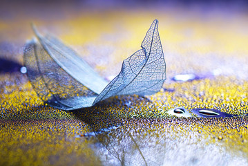 Transparent blue sheet on a glass with drops of dew water on a yellow and purple background macro...
