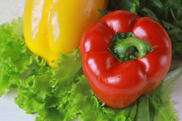 Raw vegetables and herbs: lettuce, sweet pepper, cucumber, chinese cabbage ... Concept healthy food