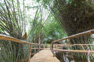 Wooden bridge walkway