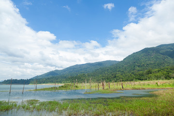 Reservoirs, valleys and forests