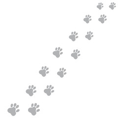 Cat traces of gray on a white background