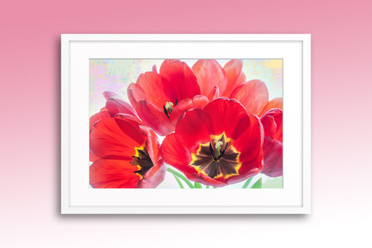 Frame with beautiful spring flowers, red tulips in blossom, decoration mock up