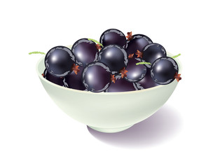 Blackcurrents in a bowl isolated