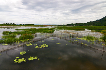 Van Long Natural Reserve in Ninh Binh, Vietnam