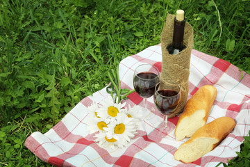 Wine and food in nature