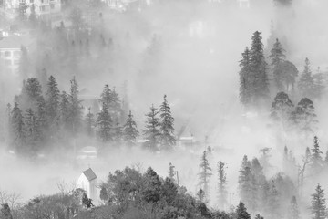 Sapa in the mist (Lao Cai, Vietnam)