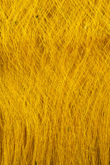  Raw, unprocessed silk yarn from yellow cocoons of the silk worm.