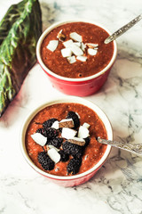 Chocolate pudding in a red bowl, with coconut,berries and chia seeds