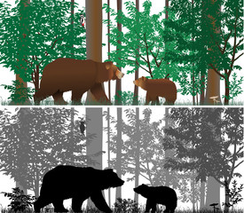 Bears on the background of trees. Colour and black-and-white vector.