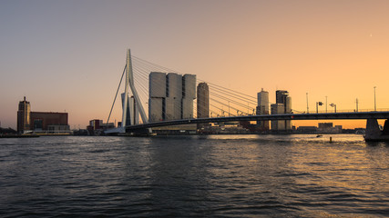 Fototapeta na wymiar Erasmus bridge Rotterdam and skyline at sunset , the Netherlands 