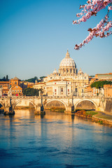 Naklejka premium View at Tiber and St. Peter's cathedral in Rome at spring