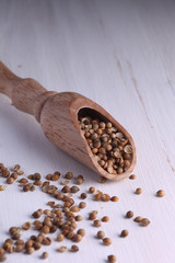 coriander seeds