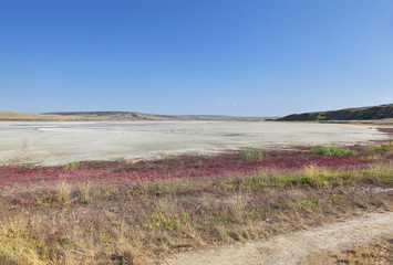 Lake dried up by drought