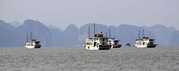 Halong bay in Quangninh, Vietnam