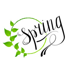 Hello Spring abstract background. Design element with green leaves