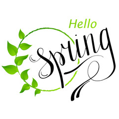 Hello Spring abstract background. Design element with green leaves